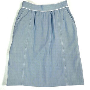 THE VILLAGER Women’s VINTAGE Blue White Pinstripe‎ Skirt Size 2 Petite Preppy